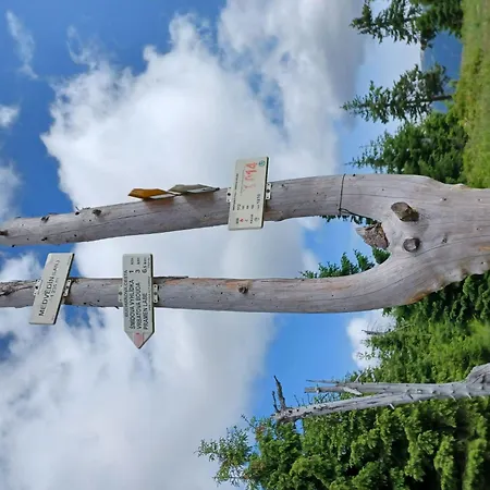 Cerny Dul-4 By Interhome 公寓 *