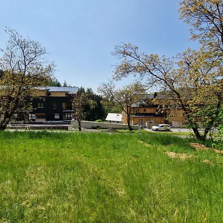 Cerny Dul-4 By Interhome Apartmán *